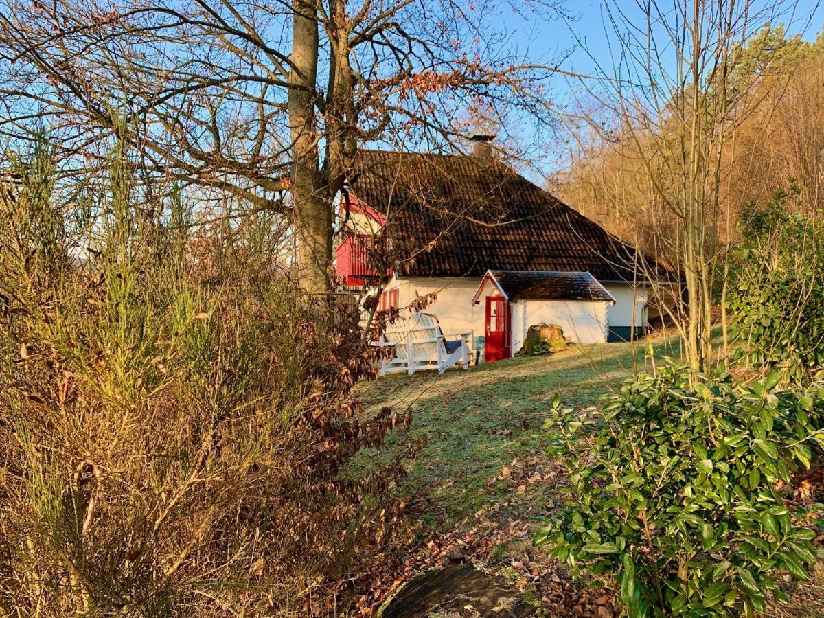 Idylle Seepark - Haus Mit Pool Und Fasssauna Kirchheim  Buitenkant foto